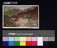 藏品(原住民風俗明信片：環山部落景觀)的圖片